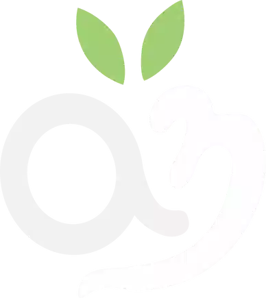 Al Noor Logo